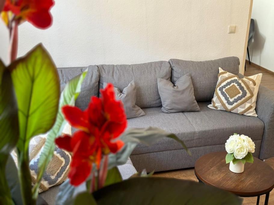 Modern Eingerichtete Wohnung Im Stadtzentrum Zittau Kostenloser Parkplatz Ngoại thất bức ảnh
