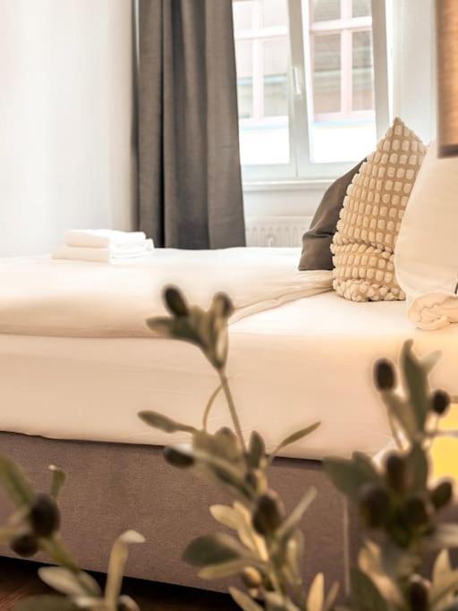 Modern Eingerichtete Wohnung Im Stadtzentrum Zittau Kostenloser Parkplatz Ngoại thất bức ảnh